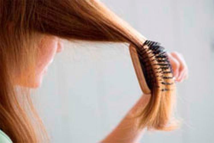 Основы правильного ухода за волосами